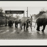 American Circus in Paris 1985