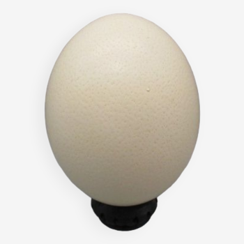 Ostrich egg on pedestal