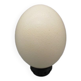 Ostrich egg on pedestal