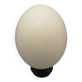 Ostrich egg on pedestal