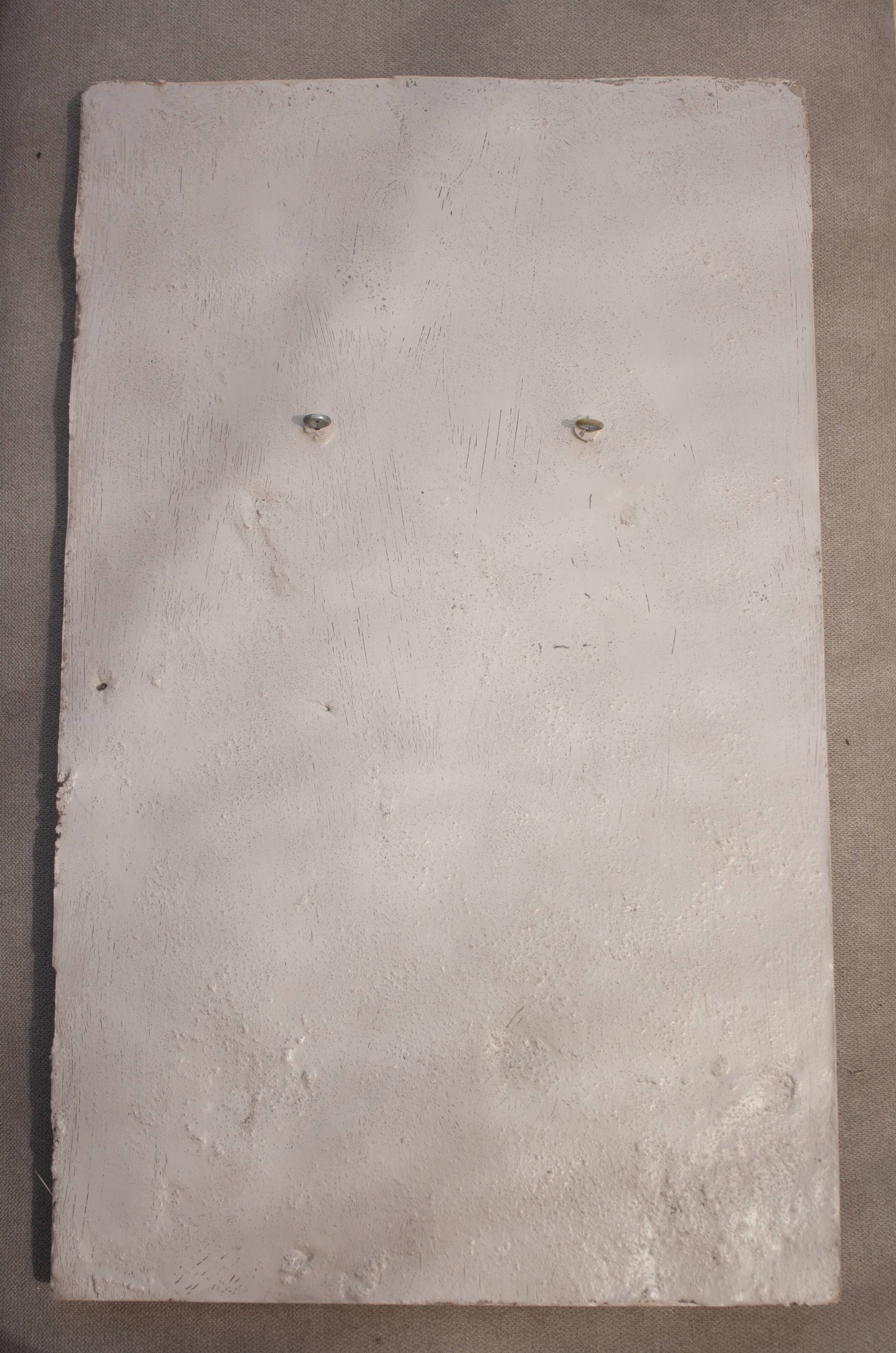 Bas-relief with flowers. Relief with flowers. Flowers in relief.