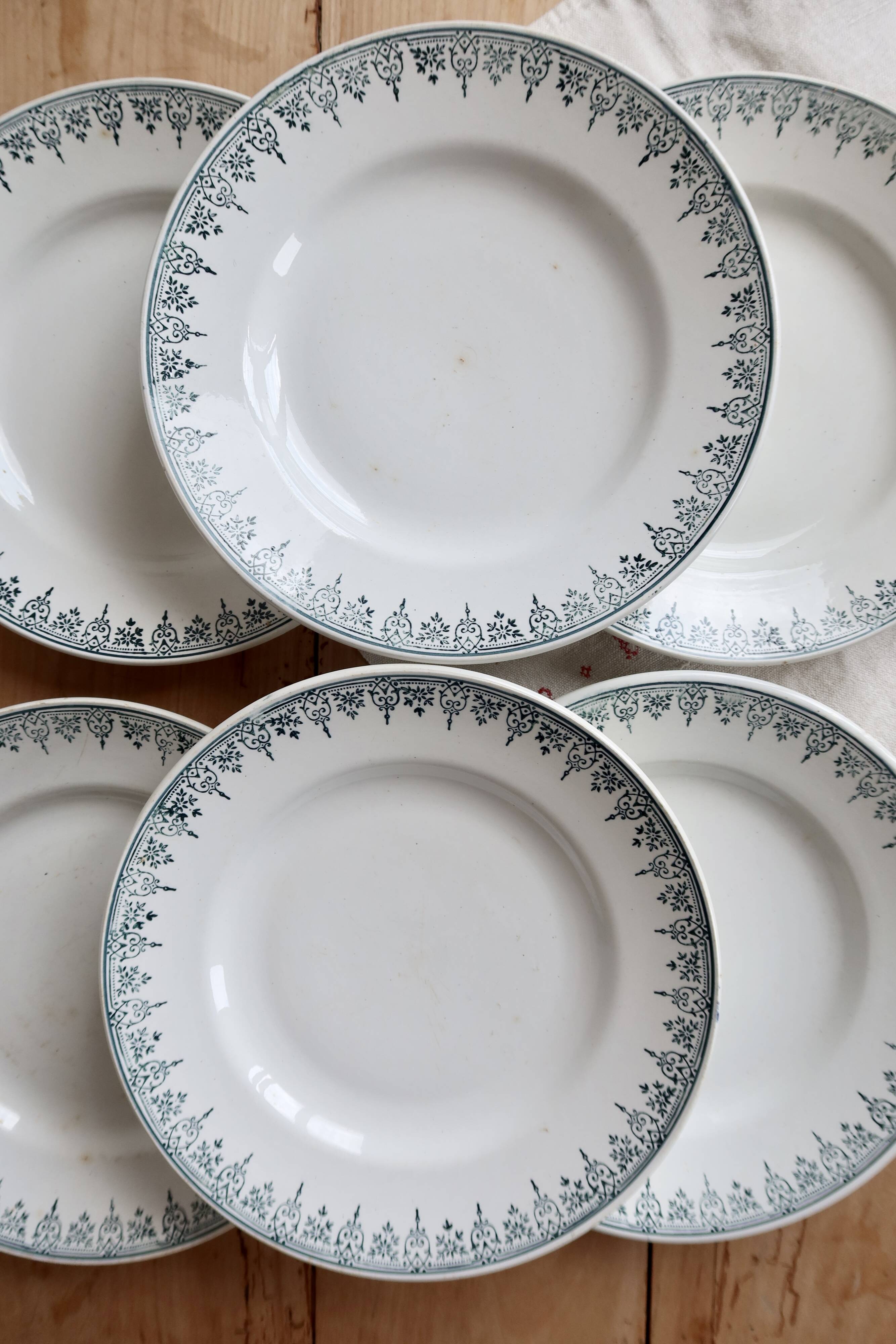 6 vintage plates from Terre de Ter Saint Amandinoise, Saint Amand model 4500.