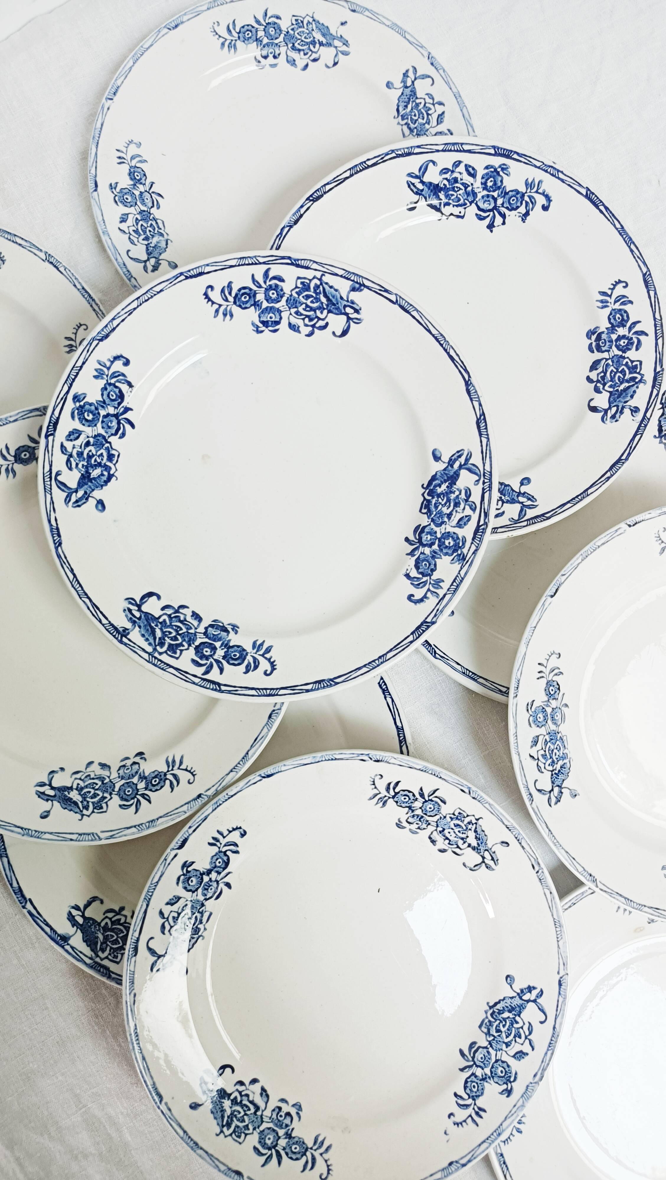Set of 10 dessert plates, Saint-Amand, iron land, blue flowers