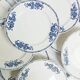 Set of 10 dessert plates, Saint-Amand, iron land, blue flowers
