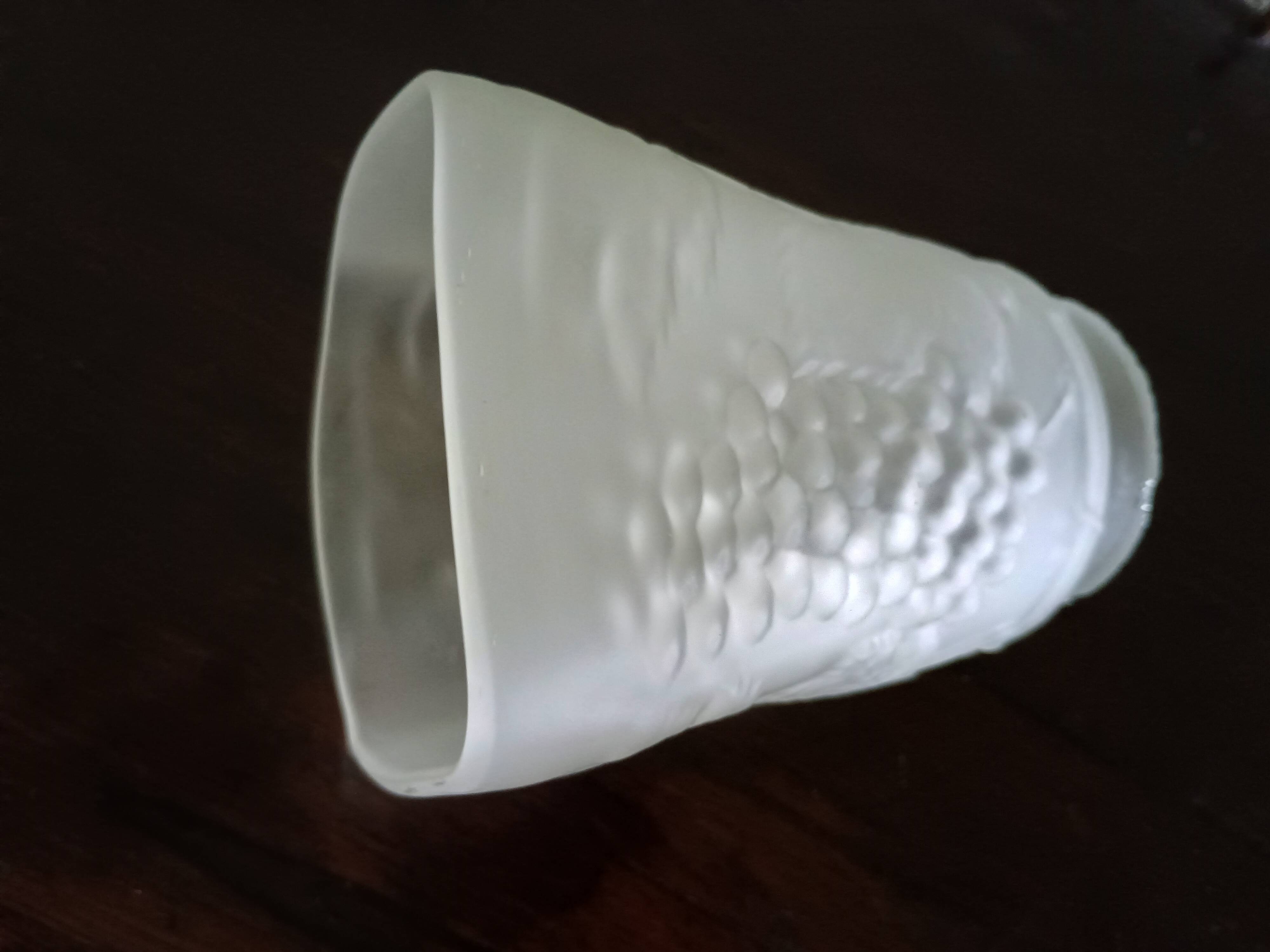 Tulipe lustre ou lampe moulé aux pampre de vigne raisin - verre dépoli