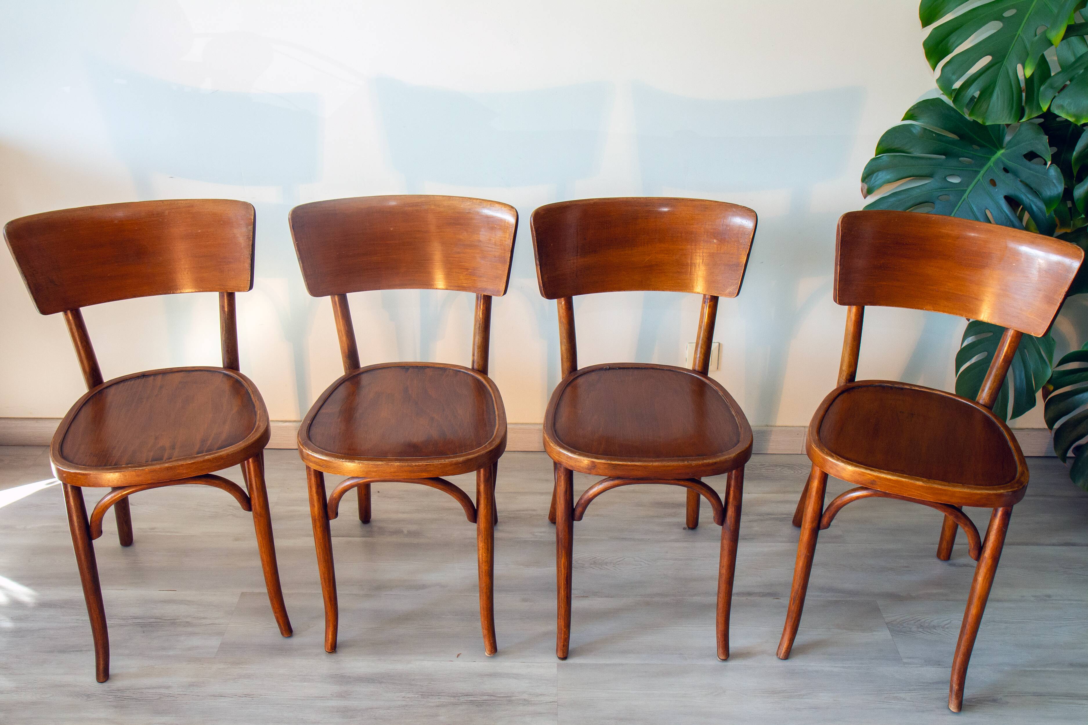 Mahieu chairs 1950 (Romerie, France)