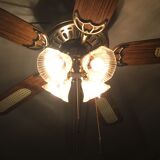 ceiling fan