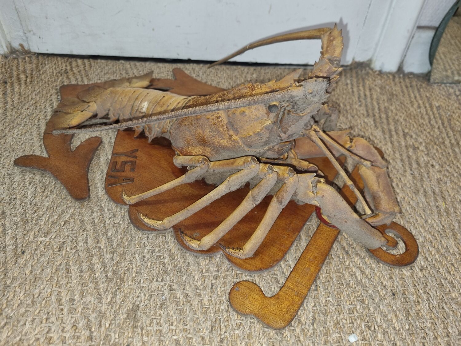 Naturalized lobster of the mid-twentieth century