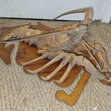Naturalized lobster of the mid-twentieth century