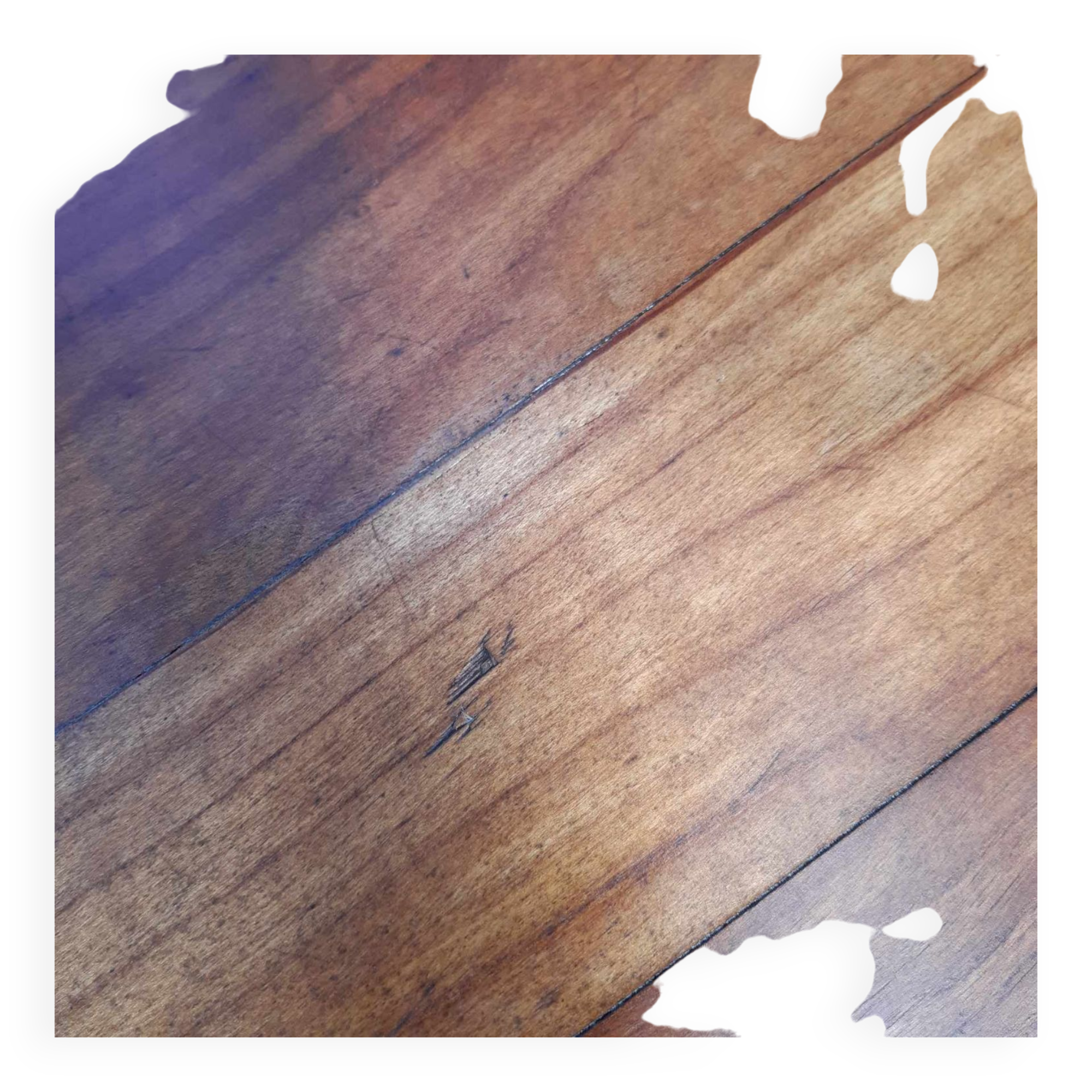 4 chaises De Ster Gelderland