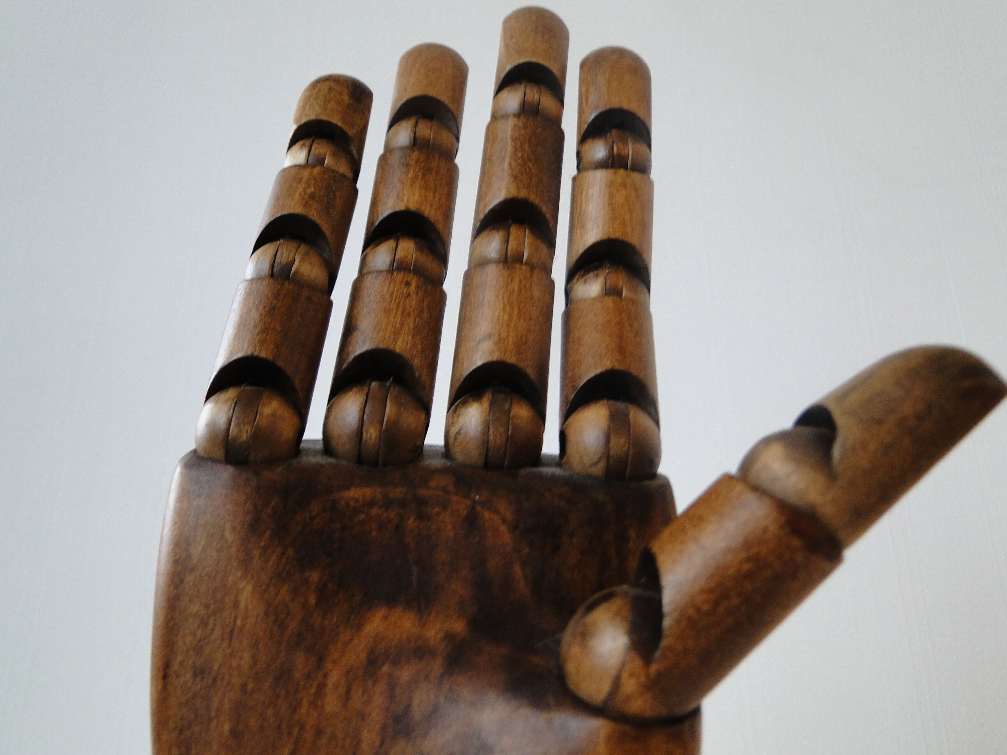 Pair of articulated wooden hands