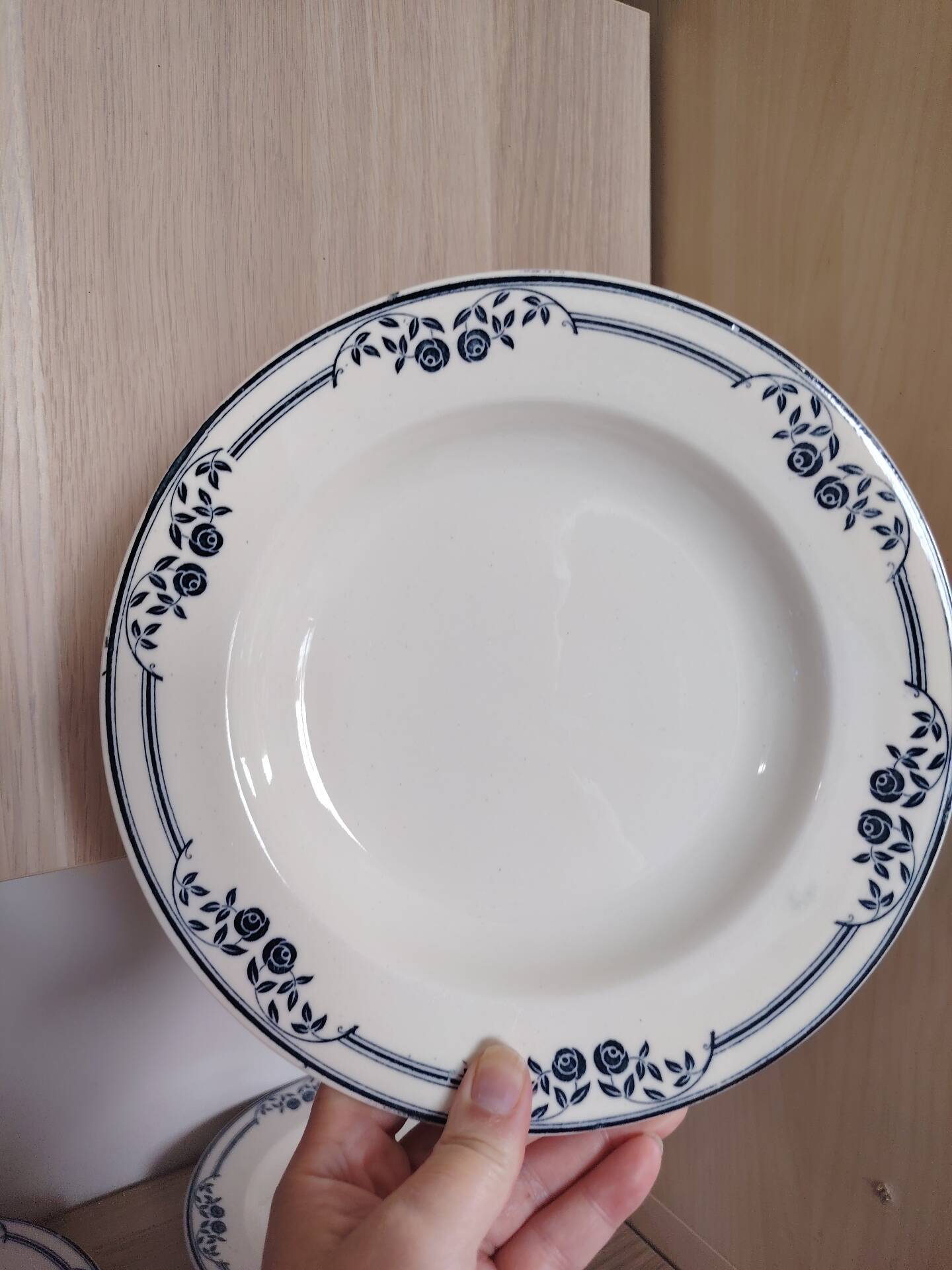 4 deep plates Saussure Ironstone