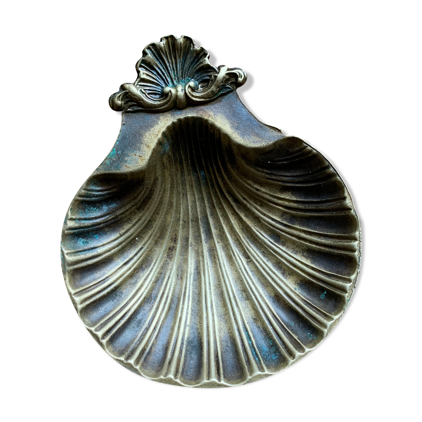 Brass shell clam