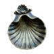 Brass shell clam
