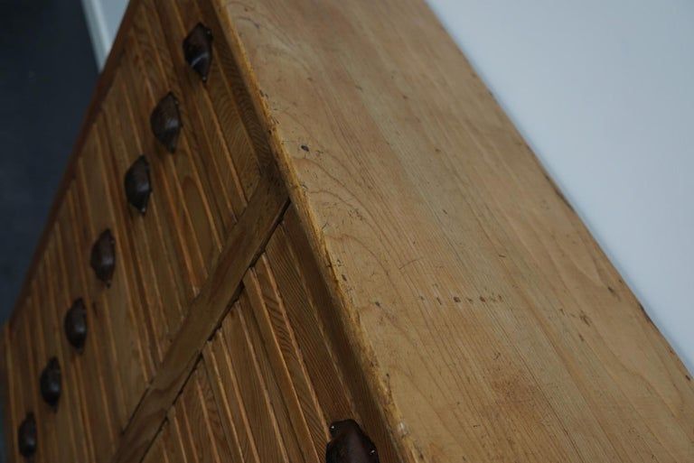 Apothecary furniture in French pine twentieth century
