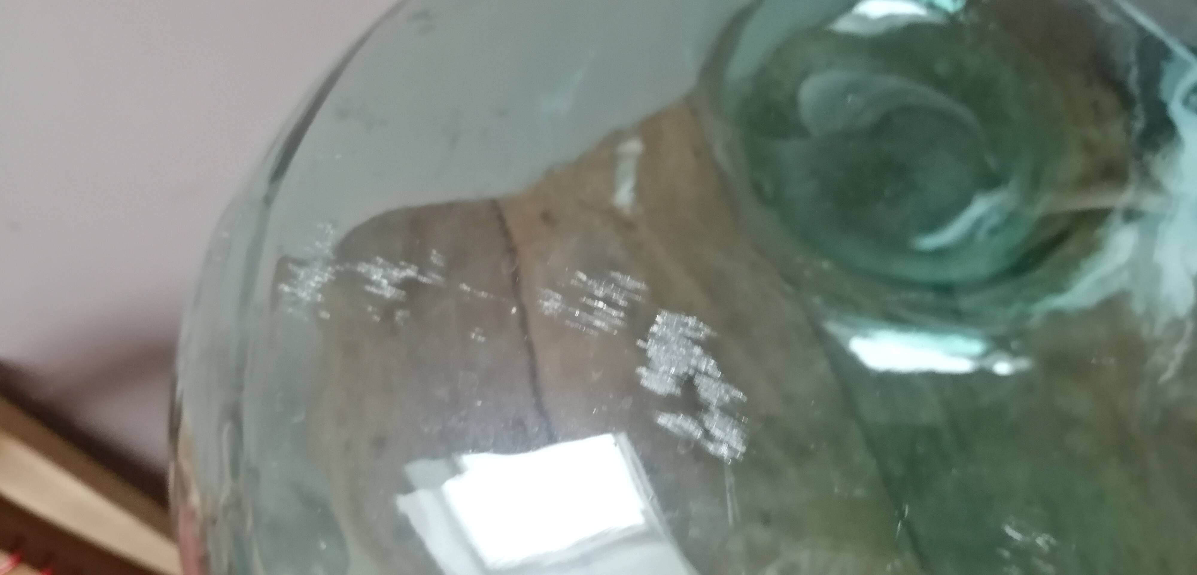 DAME JEANNE GREEN VIRESA 16 L