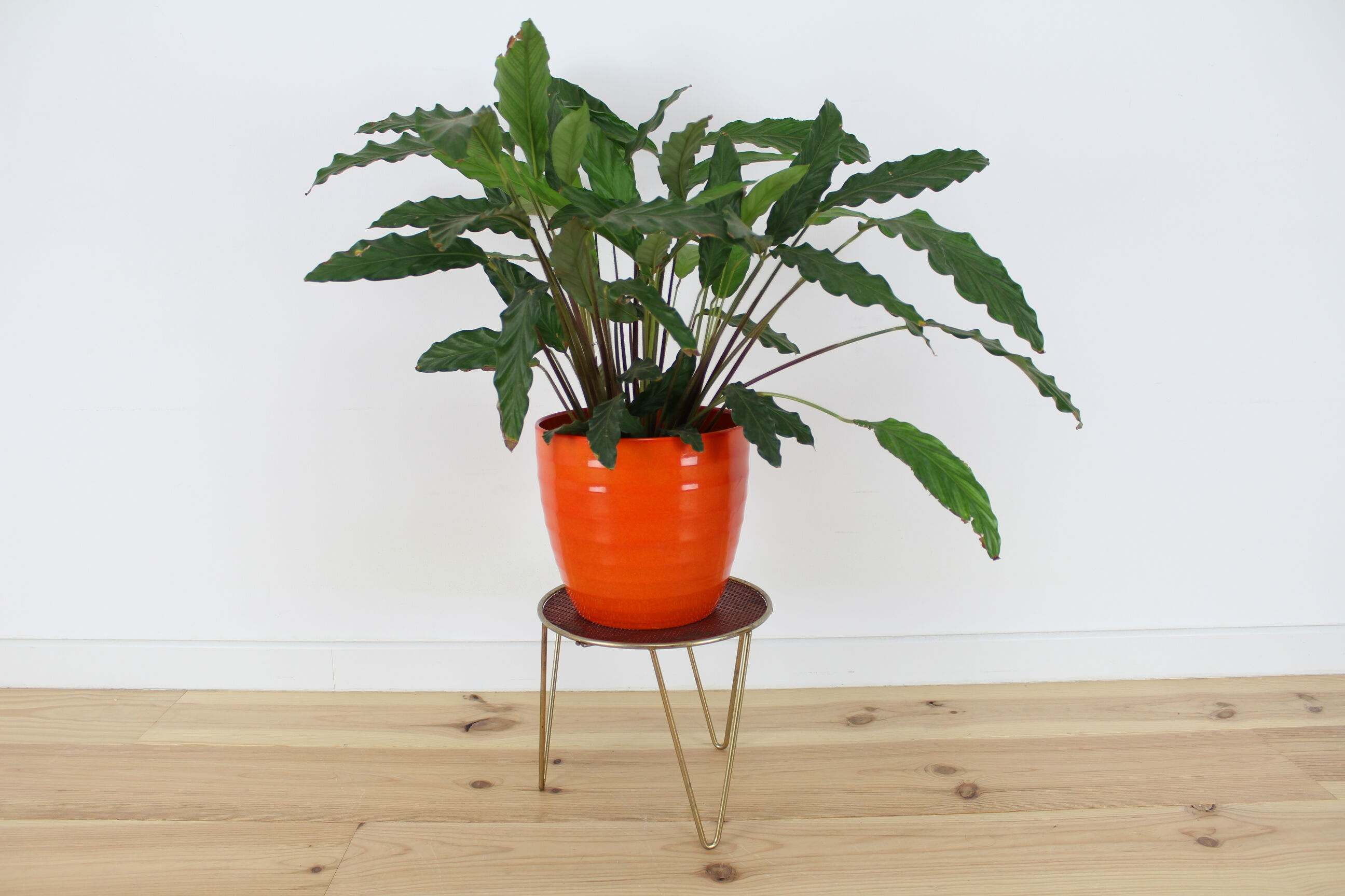 Door harness plant metal perforated red and gold