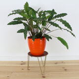 Door harness plant metal perforated red and gold