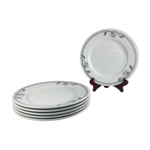 Set de 6 assiettes plates