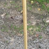 Vintage floor lamp in gilded brass with 5 glass tulips from the 50s