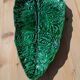 Plat en barbotine feuille