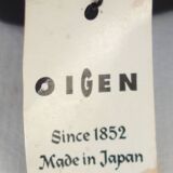 Oigen Japanese Cast Iron Teapot
