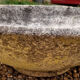 Planter - Willy Guhl basin from the 1950s - 1960s