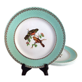 Flat plates Birds