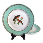 Flat plates Birds