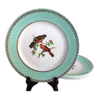 Lot de 4 assiettes plates oiseaux