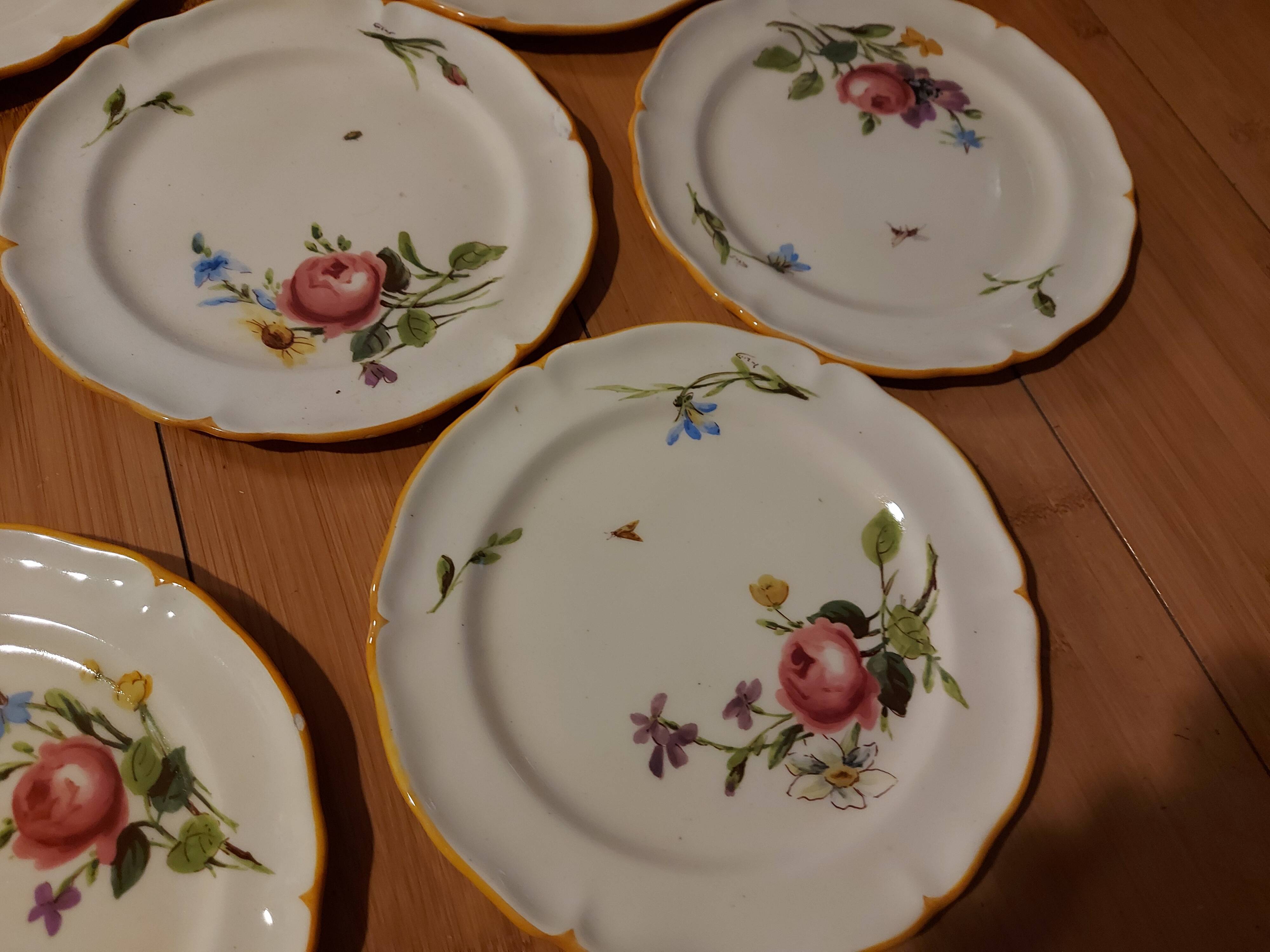 10 dessert plates painted decorated with flowers, insects (all different)