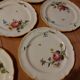 10 dessert plates painted decorated with flowers, insects (all different)