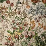 Lithograph of flowers (catalpa) – 1900