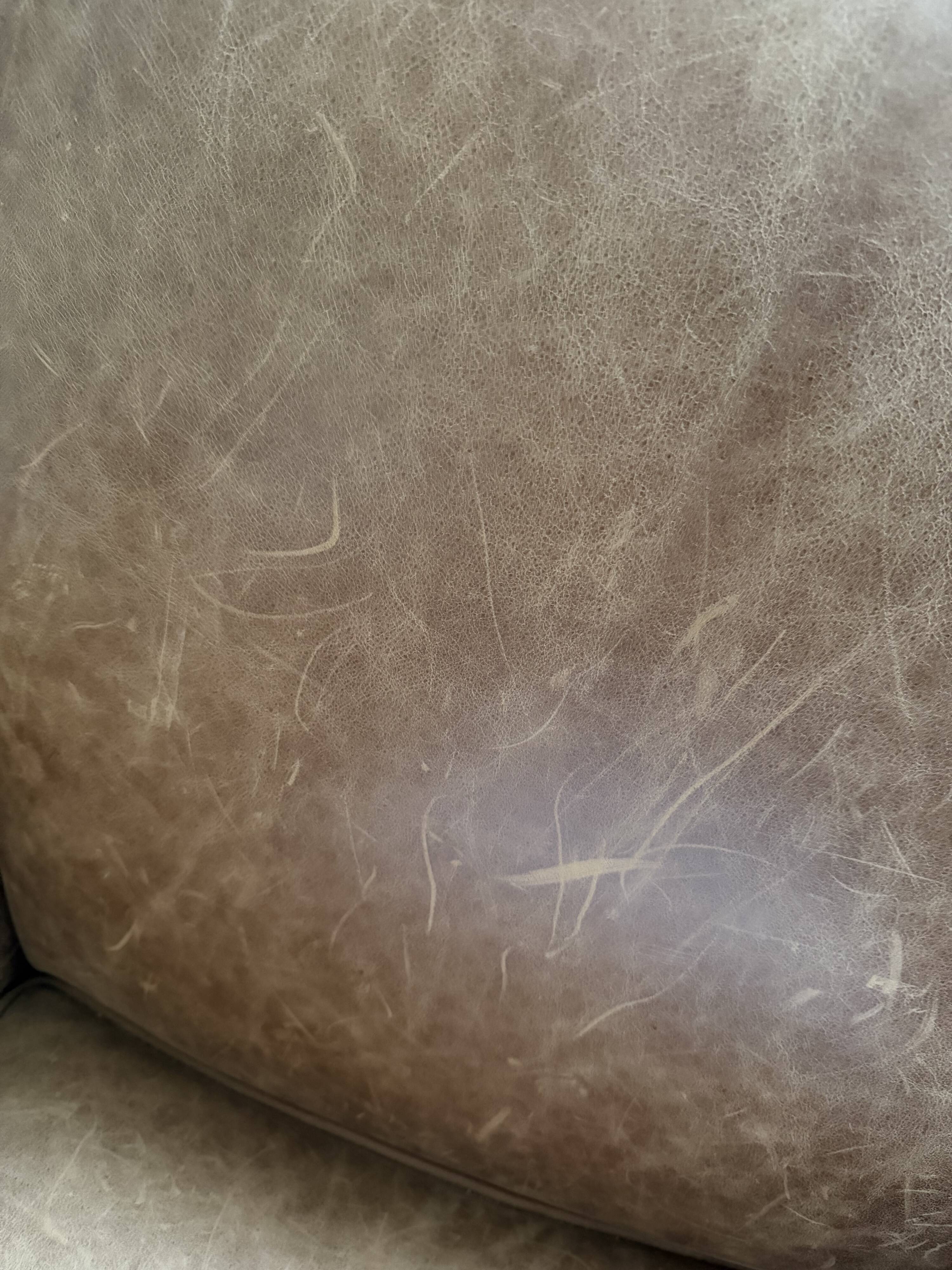 Bradford club armchair in full-grain cowhide leather, tawny colour.