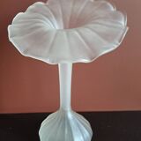 Vase en verre blanc "Jack In The Pulpit"