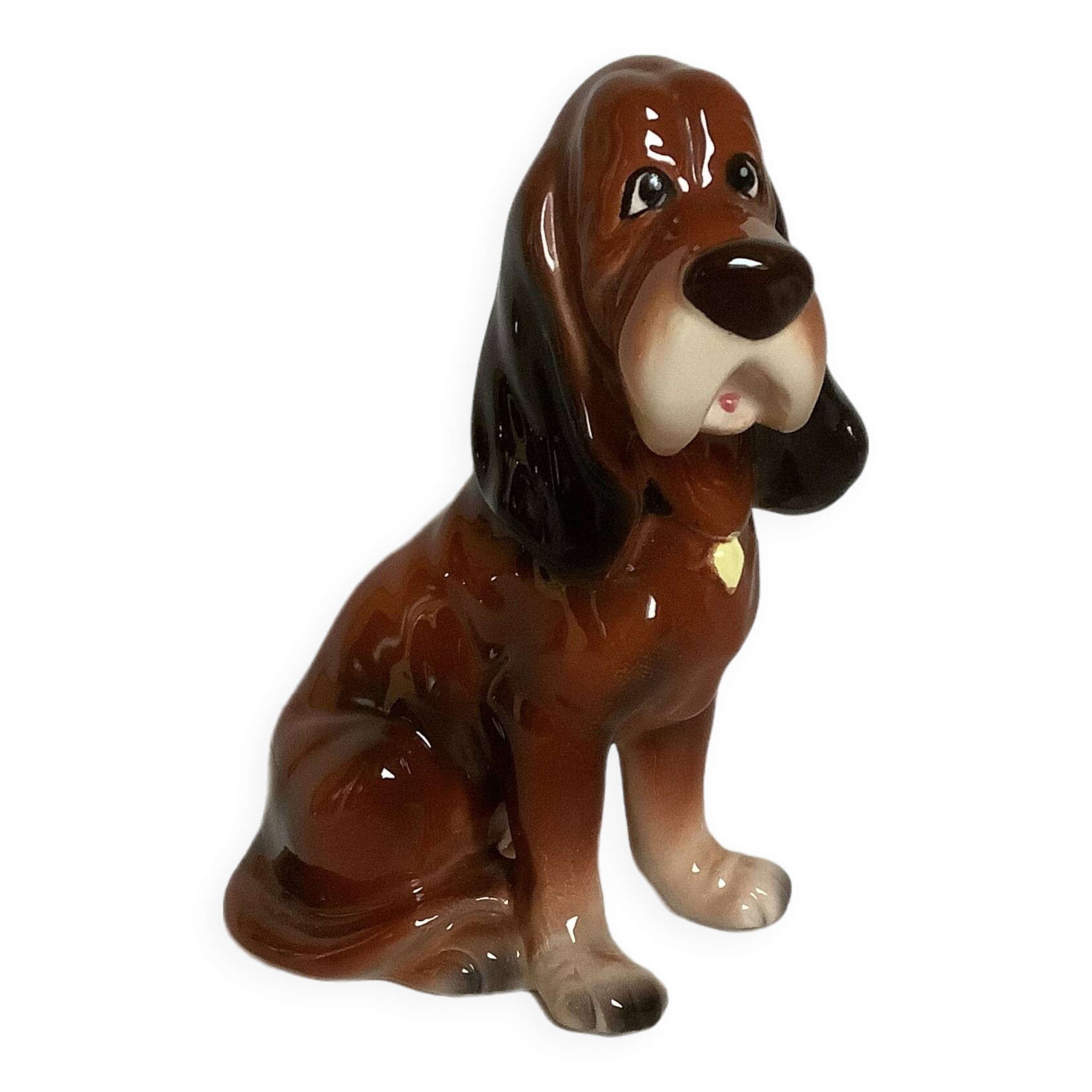 Saint Hubert hunting dog