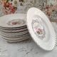 Set of 12 hollow plates K&G Lunéville model Tradition