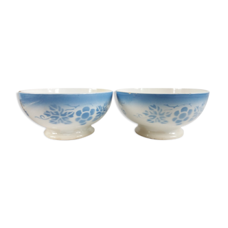 Pair of old bowls Sarreguemines