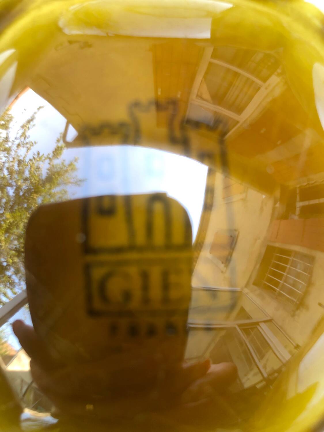 Set of 6 Gien oyster plates