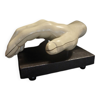 Anatomical model anatomical study of the hand Merck 1967