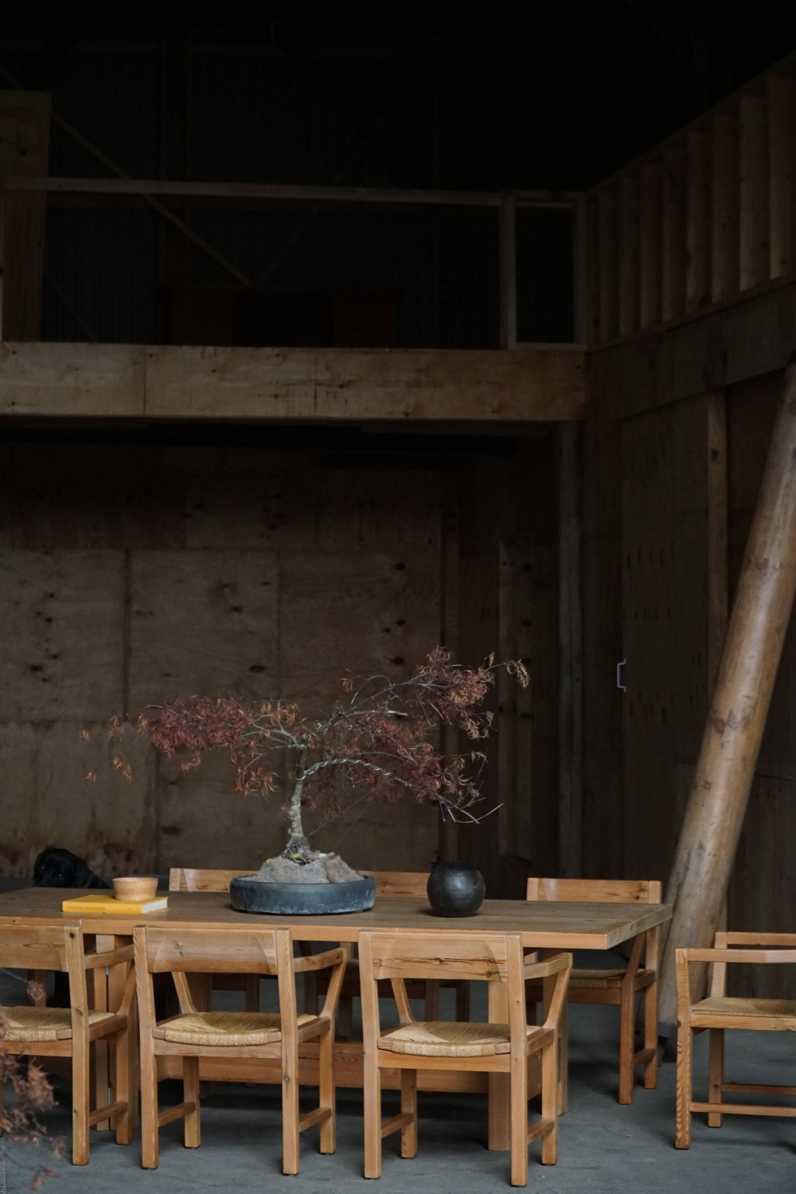 Set of 8 Danish dining chairs in pine and woven paper cord, Tage Poulsen, 1970s.