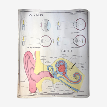 Rossignol school poster the vision / authentic industrial vintage alcoholism