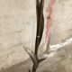 floral floor lamp of the 70s isabelle and richard faure