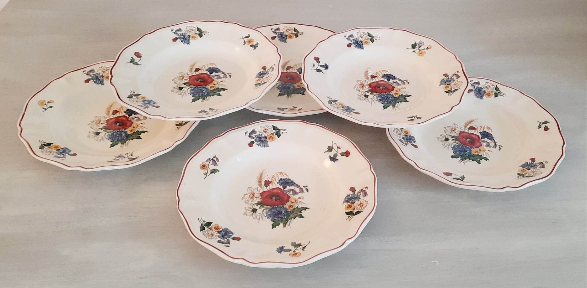 Hollow plates in earthenware Sarreguemines Model "Agreste" Vintage