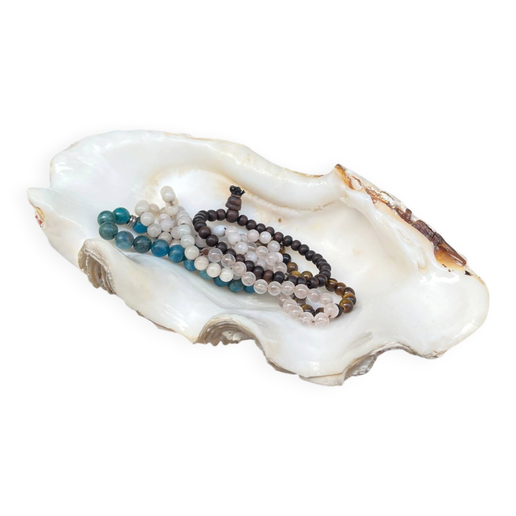 Vide-poche coquillage bénitier, années 70