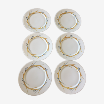 6 assiettes plates porcelaine de Limoges  jean Louis Coquet