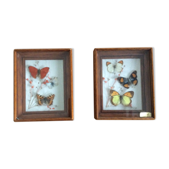 Pair of naturalized butterfly frames