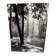 Silver gelatin photograph by Bernard Darot, backlit in the Bois de Boulogne, SNMF