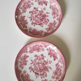 Wedgwood plates
