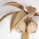 Pair of large rattan “palm/coconut tree” wall lights